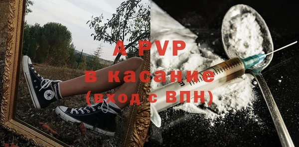 гашик Арсеньев