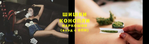 гидропоника Армянск