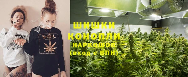крисы Аркадак